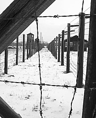 Maidanek fence in winter