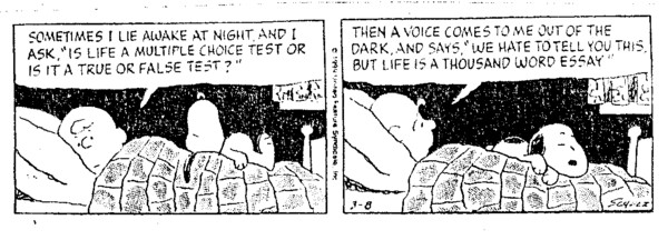 Peanuts: Life is a thousand word essay