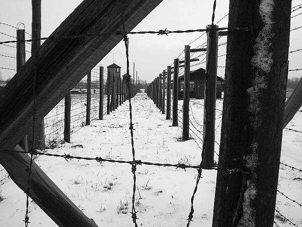 R. Binning, The Shoah Foundation’s Attempt to Address Poland’s ...